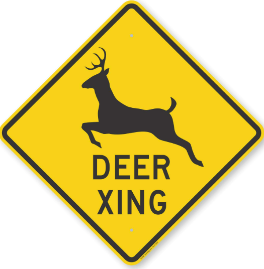 Deer Crossing